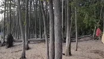 Ab jetzt überall digital erhältlich! OUT NOW - Sensational Beach Volleyball