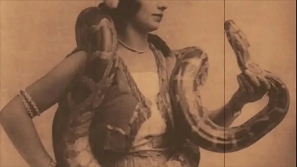 Vintage Taboo, Pussy & Pooch