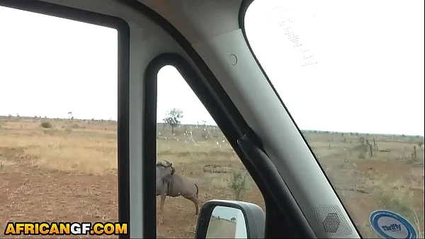 Beautiful Black Girlfriend Reaches Pussy Smashed Travelling Across African Wilderness