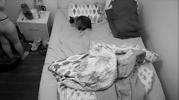 You will love this couple