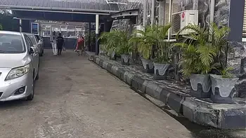 MARY BLACK ON KING AFROBANG