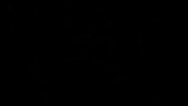 Comendo loba gostosa