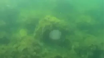 Crazy diver took me on camera while I am swimming in the sea and flashing my hairy pussy