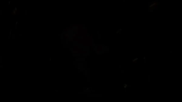 octokuro catwoman edit