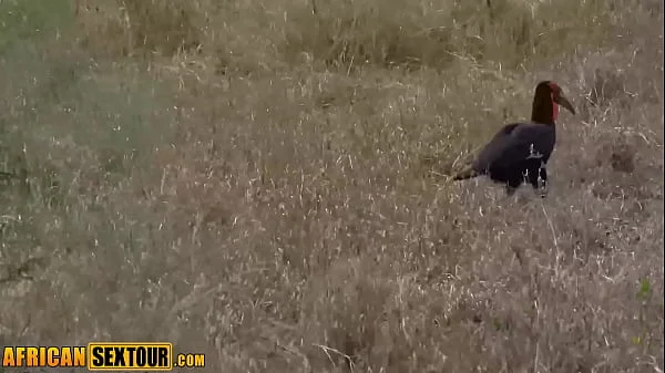 Wild pussy fucking with horny African teen with perfect big ass Awahle