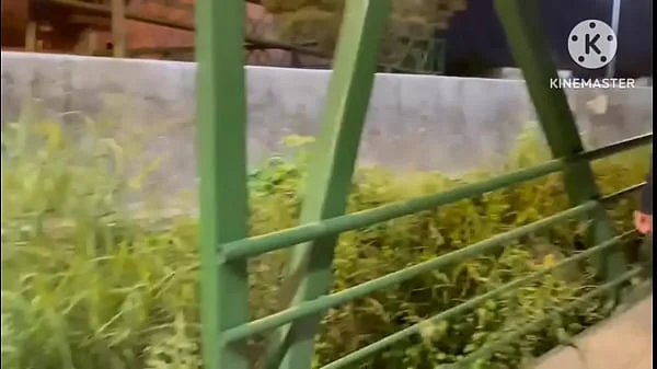 CASADA TRANSANDO EM PLENA VIA PUBLICA VIA LIGHT AO VIVO