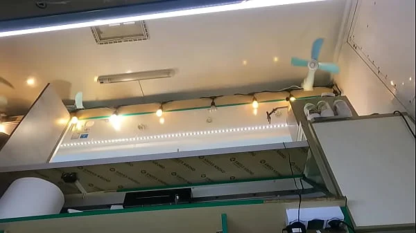 The boss is playing with his sexy shop assistant pussy while she talks to the customer