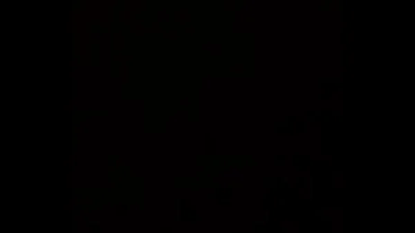 My  neighbors fucking early in the morning