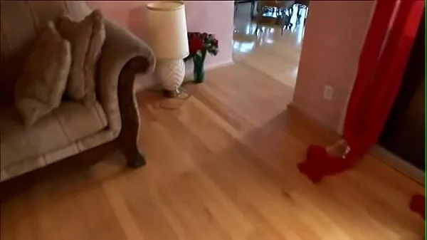 Unhappy blonde nympho Sindee Jennings asked her neighbour if he had seen her little dog