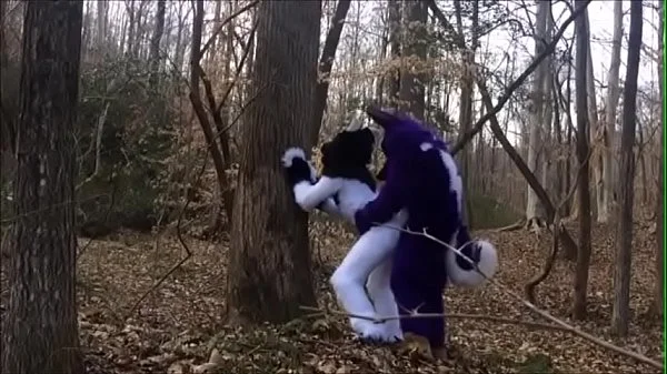 Fursuit Couple Mating in Woods