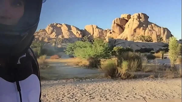 felicity feline rides motorcycle to joshua tree and plays outside