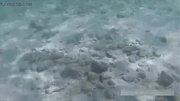 PUBLIC EXHIBITIONIST GERMAN TEEN VERONIKAVONK WITH BIG BOOBS ON THE SEA