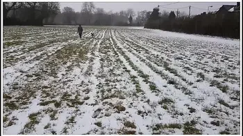 Snow Fuck & Cum Gargle