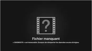 My Hankeystoys Collection