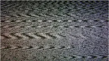 Lacey Lala In Pledge Wants Your Help (and Cock) [trailer]