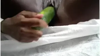 Cucumber