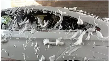 Tessa Tasty Gets Got Caught At The Car Wash