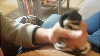 Incredible Porn Video Masturbation Hottest , Check It