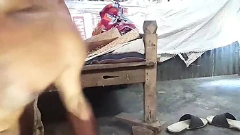 Jesmina Loud Moaning Bengali Fuck with Big Ass and Deep Throat