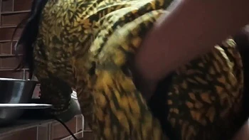 Des Girl Kitchen Room Hoti