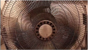 The Hottest Hairy Muscle Girl