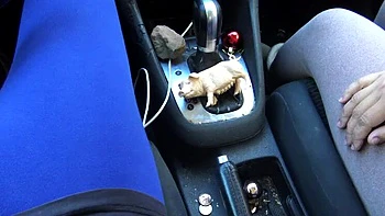 Stepmom Susan's 18th Birthday Handjob: Virgin Stepson's First Time Huge Cumshot