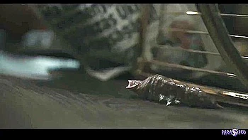 Junoesque And At Rough - Bunny Brownie And Milan Cheek