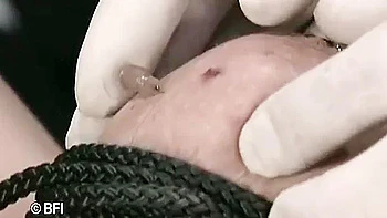 Submissive Girl Gets Punished Hard From Her Punisher