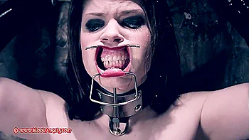 Bound Blonde Brunette Toyed