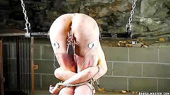 Greyhound Ring The Bell