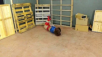 Supergirl Tied In Several Positions