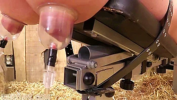 Cindy Dollar In Teat Training