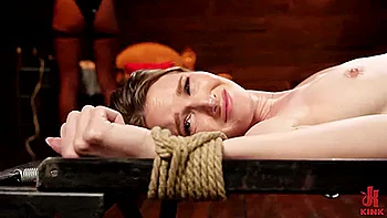 Penny Trains Pet, Ashley - Ashley Lane