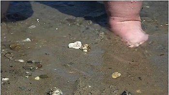 Fat Bare Legs With Red Pedicure Walk Along The Bank Of The River, Fetish