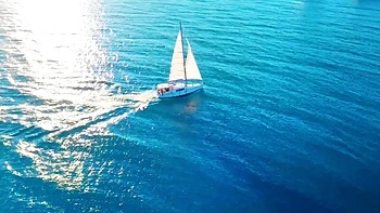 Miss Alice Wild tames the pack... - Jacquie et Michel TV