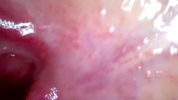 x2x137B0A57D21B17F759