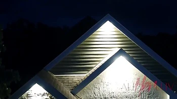 Give Me Shelter - Disciple - Aaliyah Love, Penny Pax - Teenage 18+