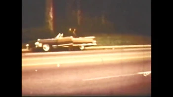 Vulgar Capricious Pig