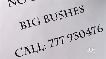 Fur-burger delivery service