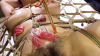 親寝取り縛り の友人の緊縛女体盛り 水野淑恵