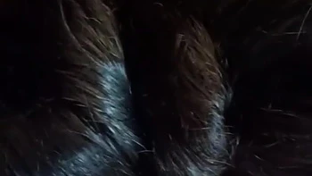 Wife Blow Job At Bathroom