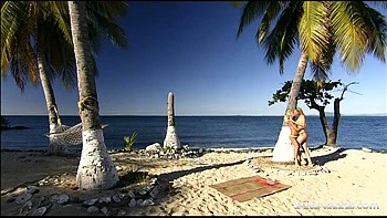 Jennifer Love and Tarra White Use Dildo up Ass While Rubbing Clitoris - Private Porn Sex Videos