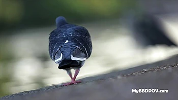 Destroyed Milf Stunner Simone Sonay’s Butt When She Came To Service