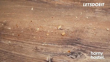 Top 5 Large Butts Compilation! Gals Shake Their Gracious Curves - Slutty Hostel