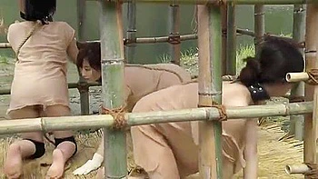 Henry Tsukamoto Slavery System Resurrected Beautiful Girls Fiddling - Yui Kawagoe