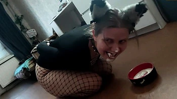Sexy kitty eats from a bowl and licks her master's feet -