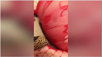 My Cougar Wife Valentines Day