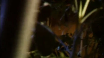 Stunning anal fuck in the cowgirl pose with a hot blonde Judy