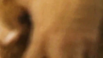 Libidinous one and only's old porn