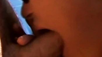 Kitten's cougar porn